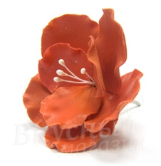 Фото украшение сахарное цветок шиповника красный