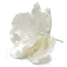Фото украшение сахарное цветок шиповника белый