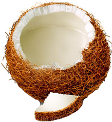 кокосы.jpg