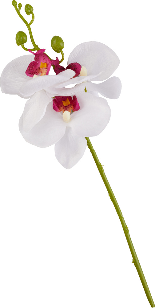 Фото украшение пасхальное орхидея