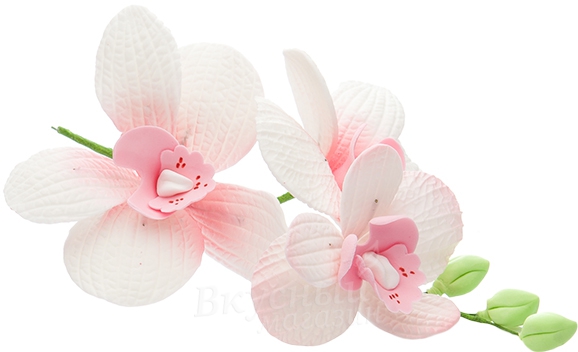 Фото украшение сахарное букет орхидеи 3 цветка